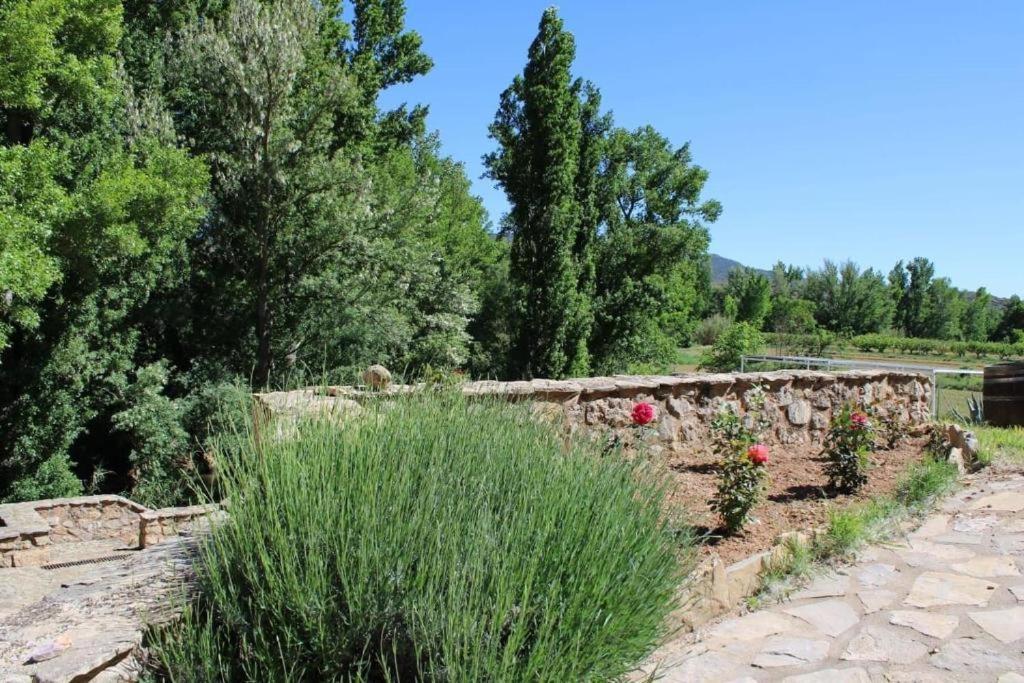 El Molino De Holiday home Villel